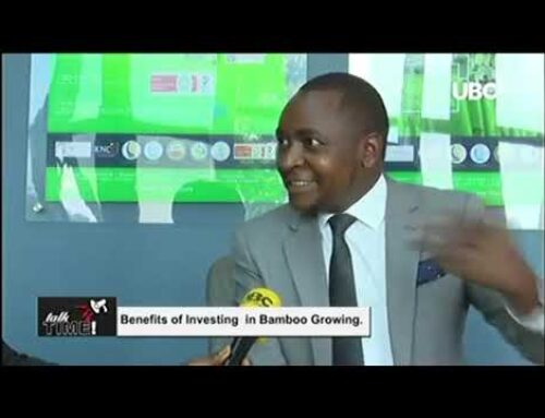 Africa Plantation Capital UBC TV Interview