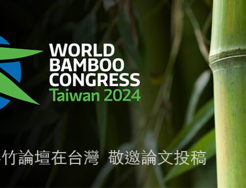 12th World Bamboo Congress 2024: Taiwan Showcases Bamboo’s Versatility and Promise for the Future